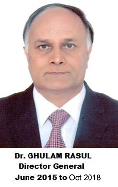 33414 copy.jpg