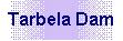 Text Box: Tarbela Dam